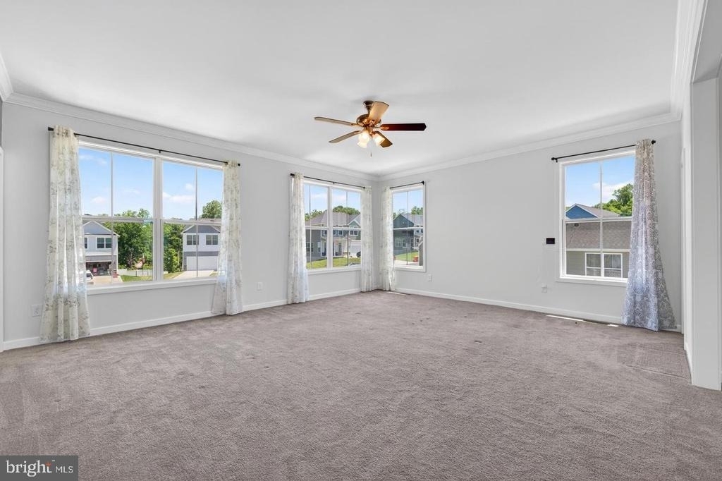 91 Cilantro Lane - Photo 24