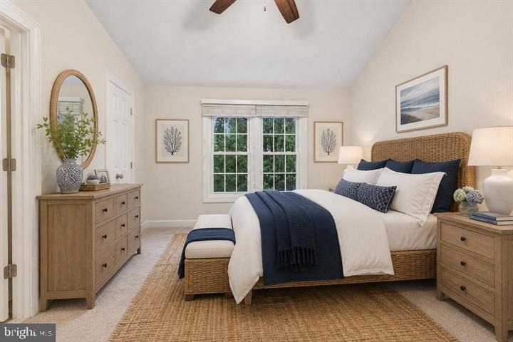 21208 Hedgerow Terrace - Photo 5