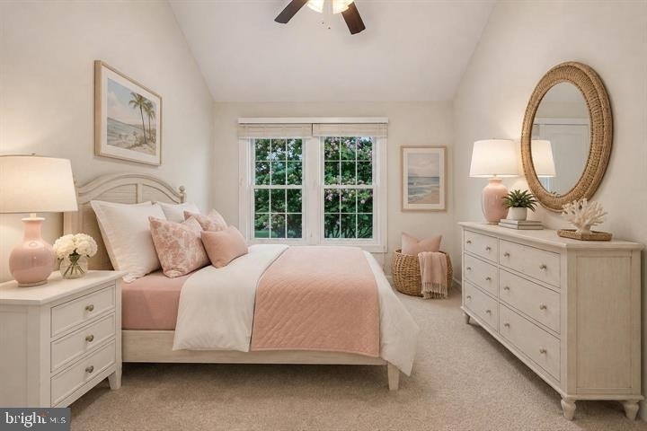 21208 Hedgerow Terrace - Photo 8