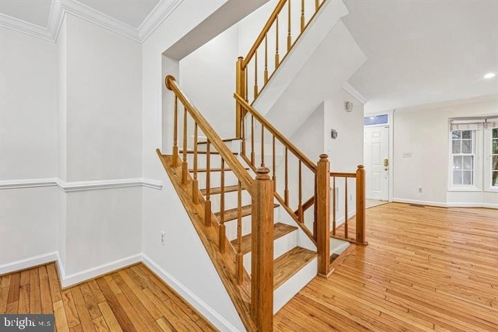 21208 Hedgerow Terrace - Photo 14