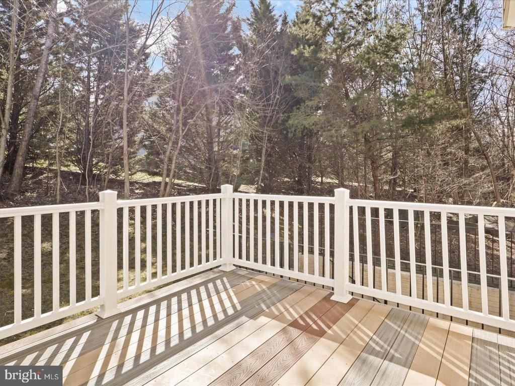 43417 Spring Cellar Court - Photo 47