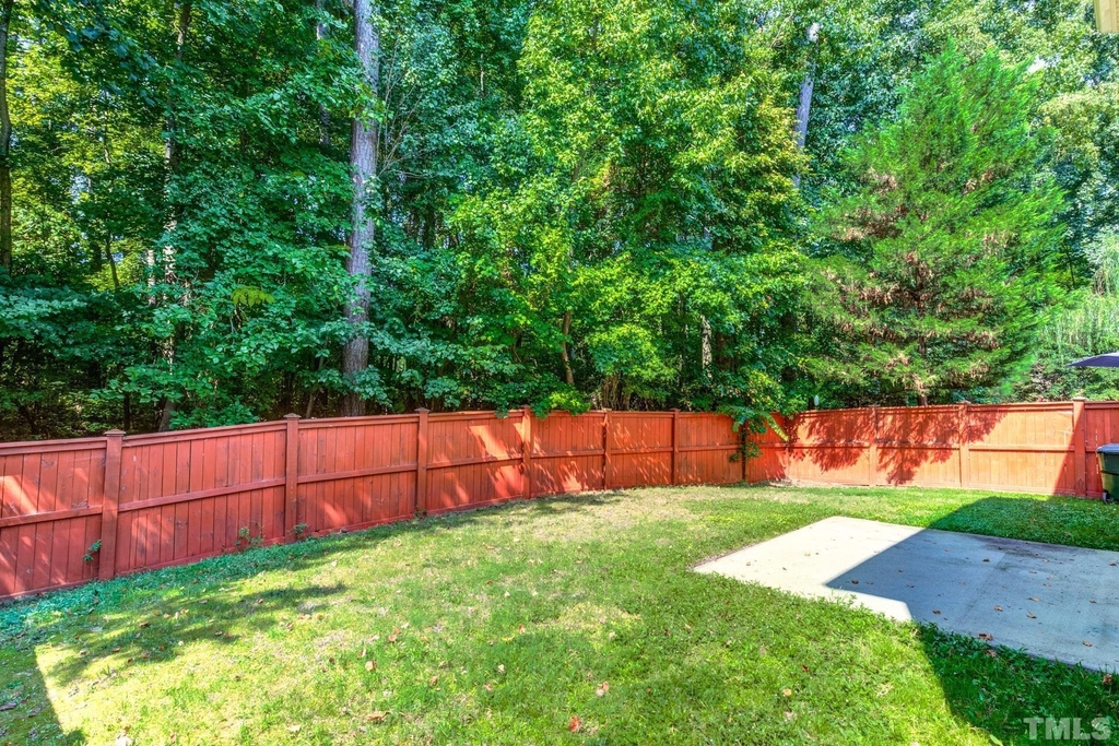 141 Occidental Drive - Photo 47