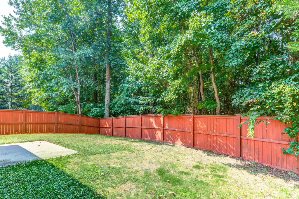 141 Occidental Drive - Photo 49
