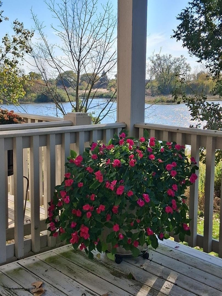 449 Bay Tree Circle - Photo 2