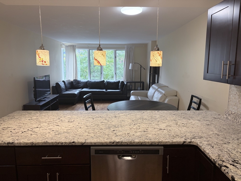 801 S Plymouth Court - Photo 2