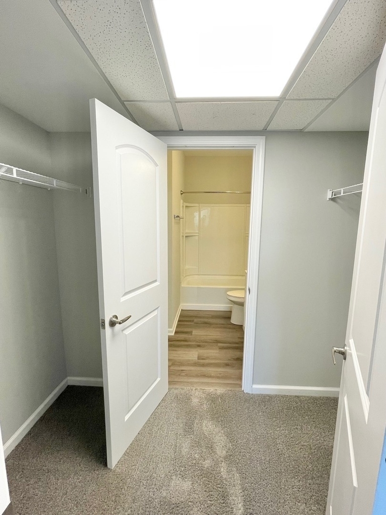 301 N Madison Street - Photo 10