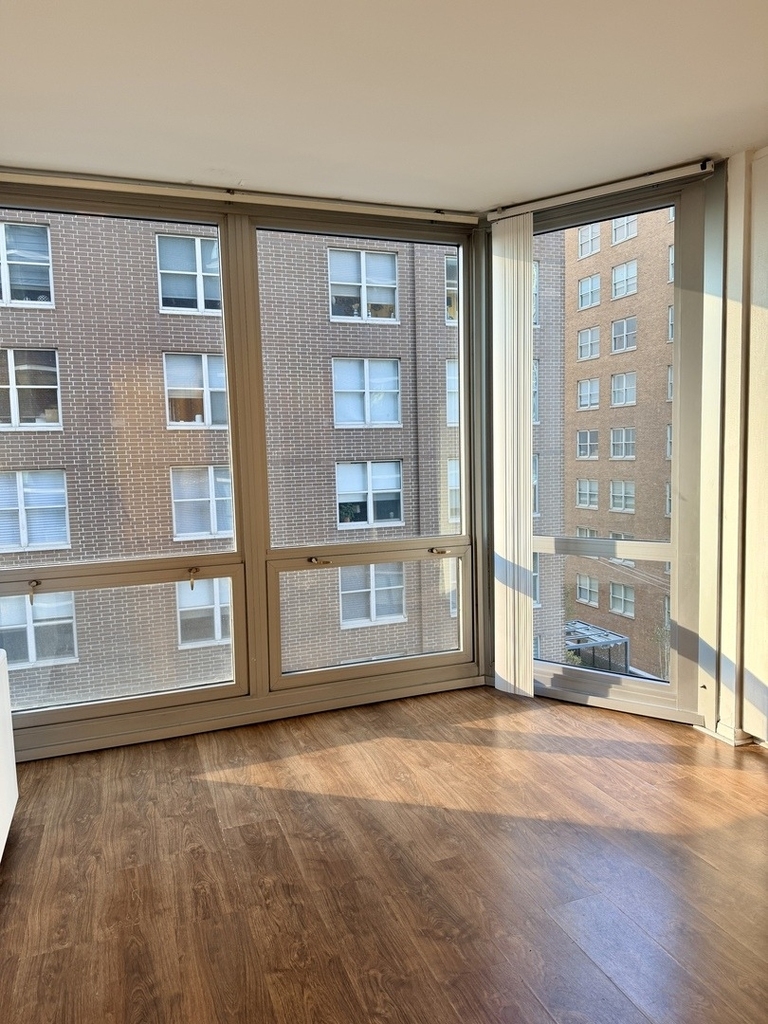 21 W Goethe Street - Photo 4