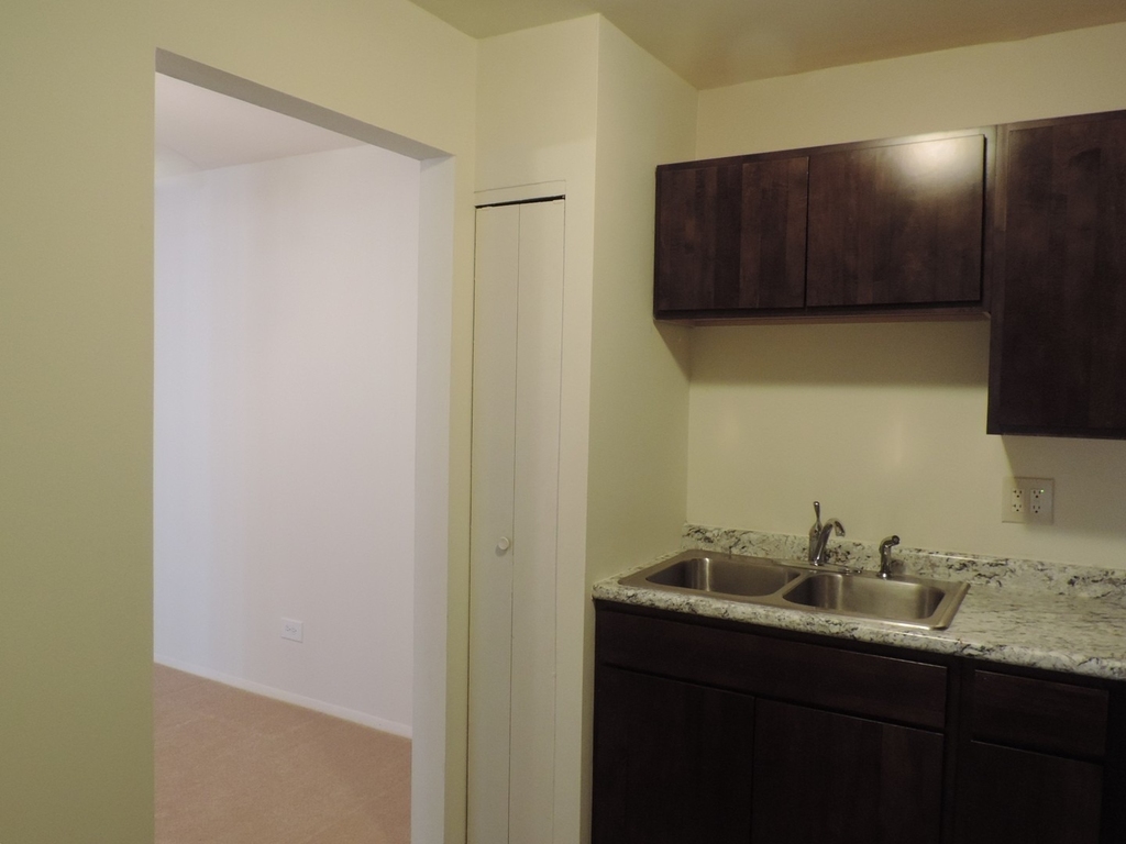 9s070 Lake Drive - Photo 4