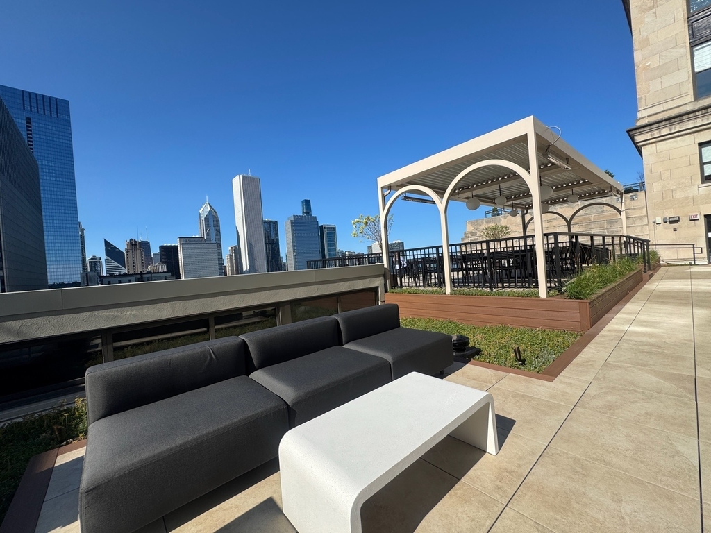 310 S Michigan Avenue - Photo 14