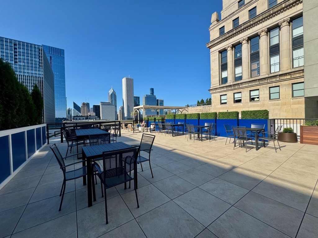 310 S Michigan Avenue - Photo 15