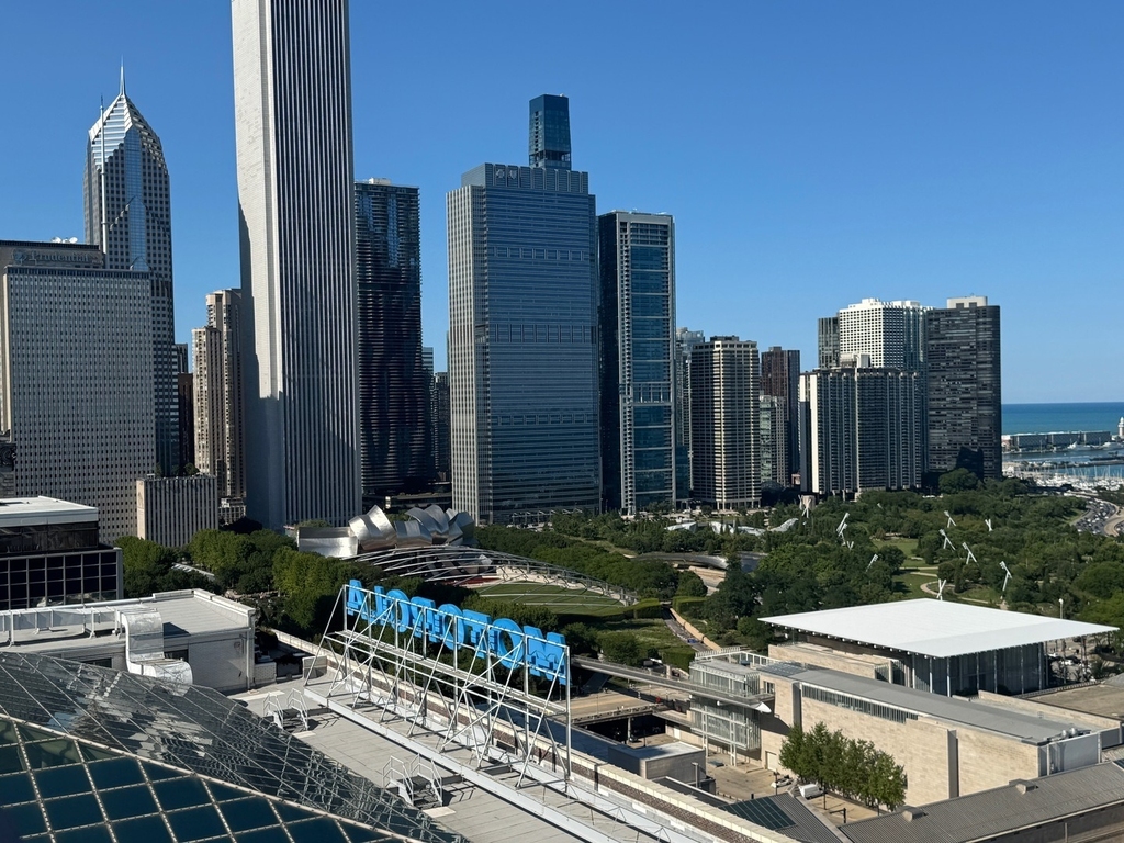 310 S Michigan Avenue - Photo 16