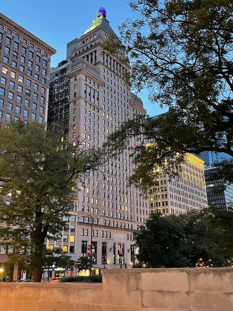 310 S Michigan Avenue - Photo 25