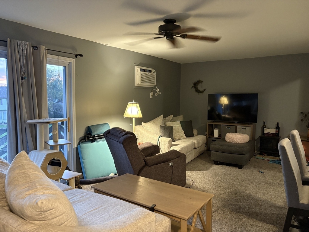 20206 S Frankfort Square Road - Photo 9