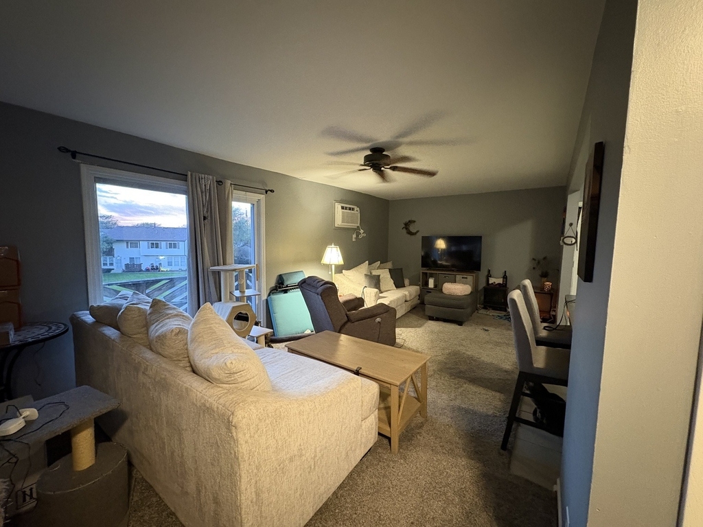20206 S Frankfort Square Road - Photo 12