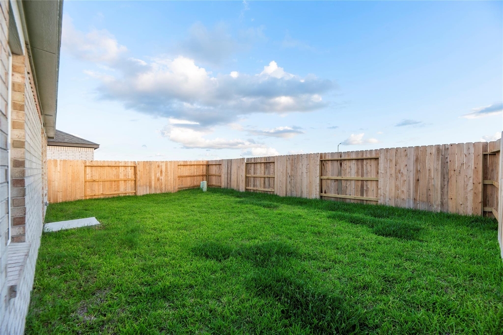 29051 Tall Wildgrass Court - Photo 3