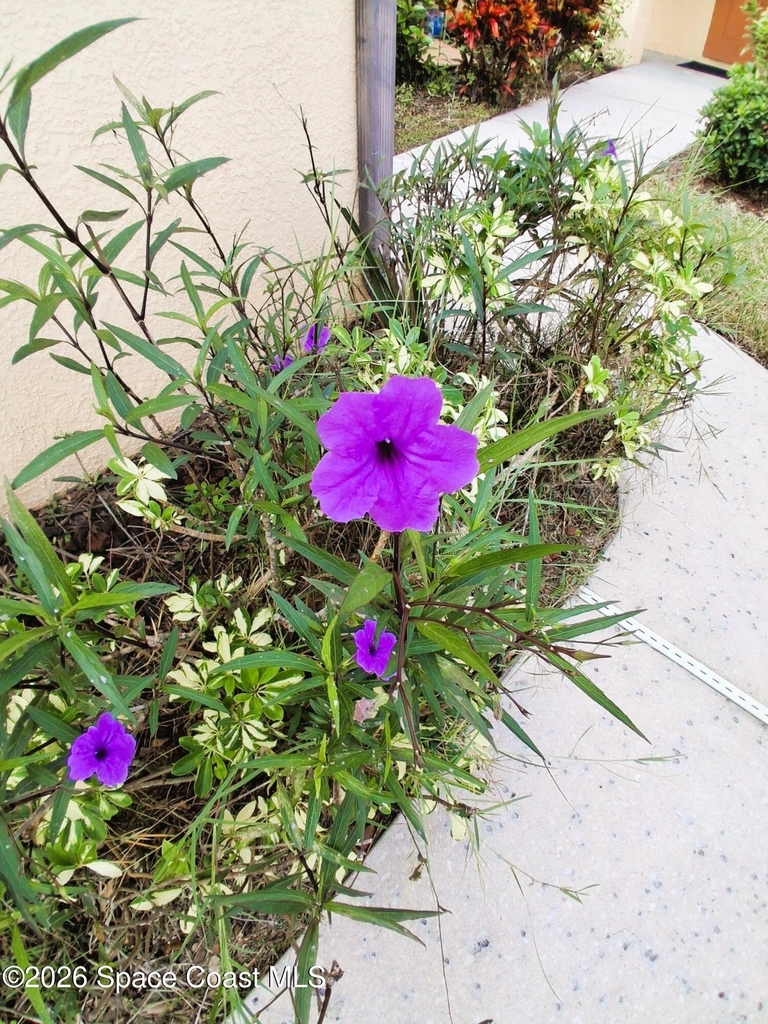 895 Luminary Circle - Photo 3