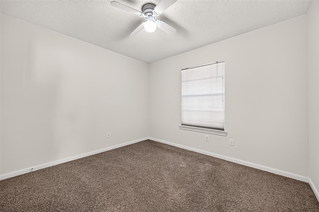 25542 China Springs - Photo 38