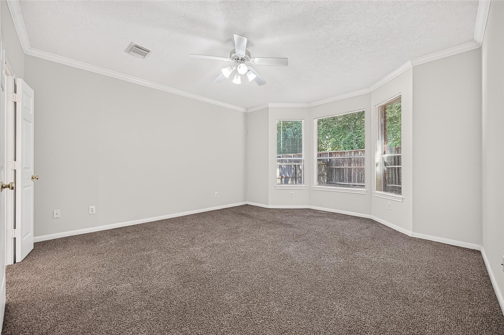 25542 China Springs - Photo 8