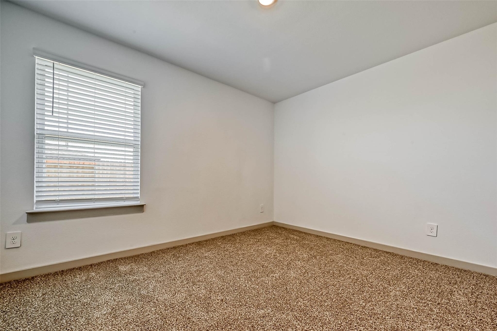 819 Dhalia Petal - Photo 28