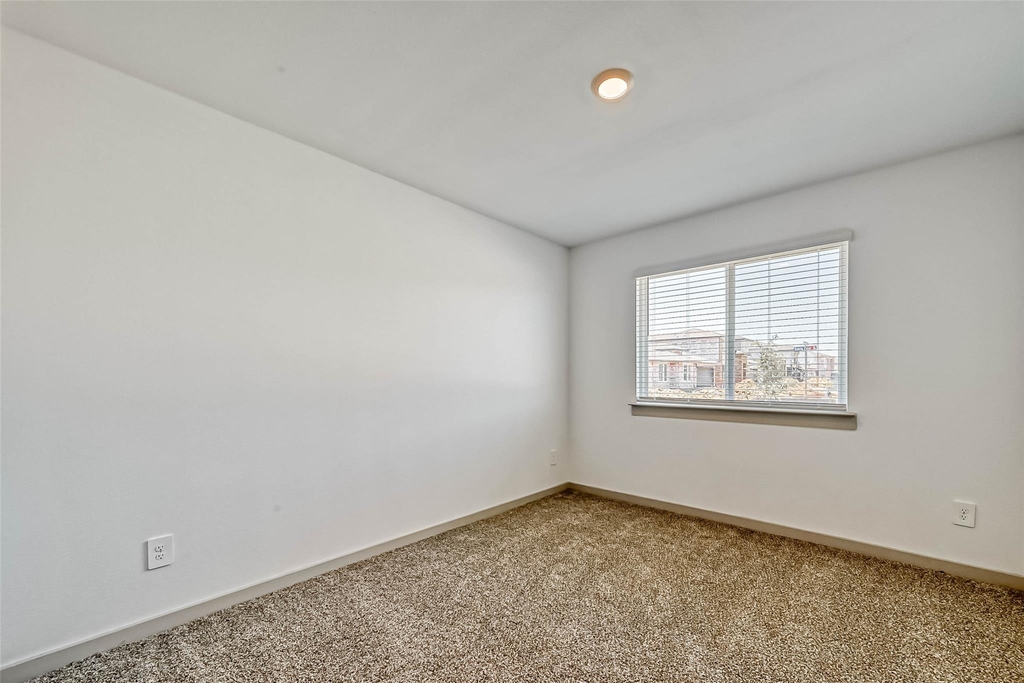 819 Dhalia Petal - Photo 24