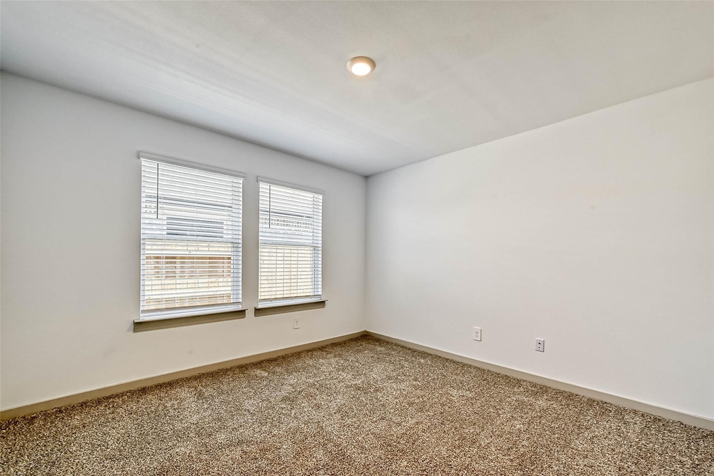 819 Dhalia Petal - Photo 26