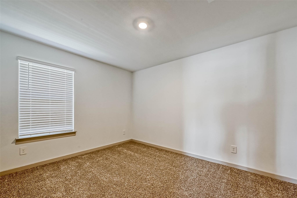 819 Dhalia Petal - Photo 18