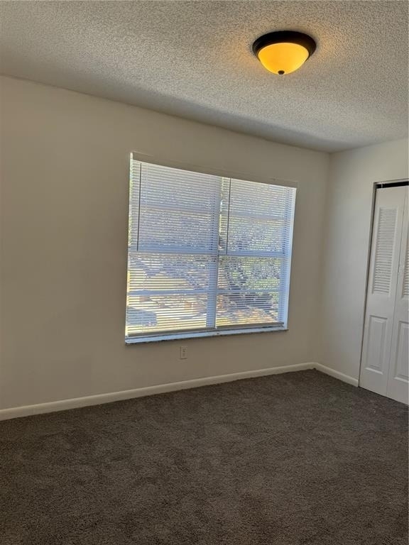 5180 Sunridge Palms Drive - Photo 13