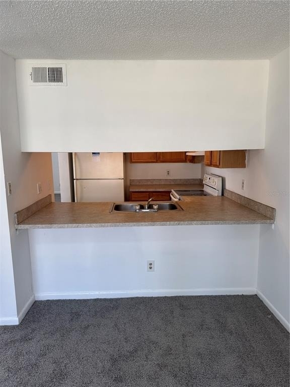 5180 Sunridge Palms Drive - Photo 11