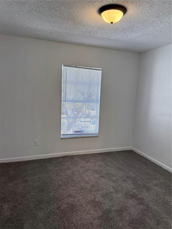 5180 Sunridge Palms Drive - Photo 18
