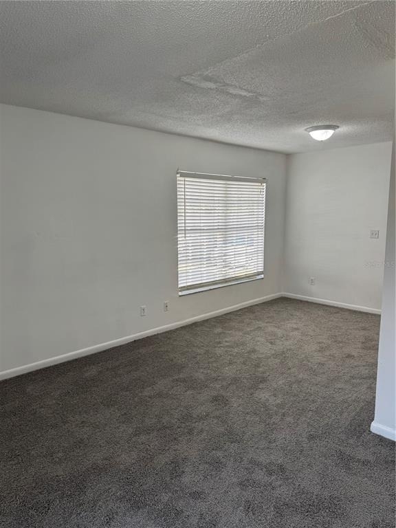 5180 Sunridge Palms Drive - Photo 5