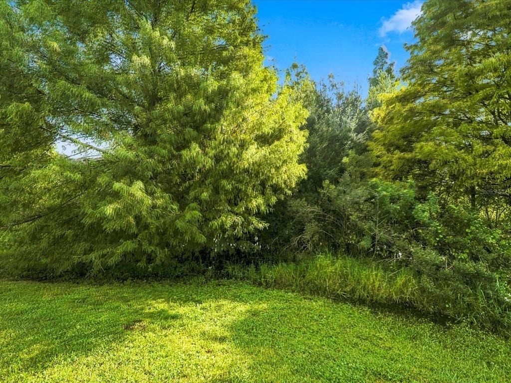 3132 Sago Point Court - Photo 42