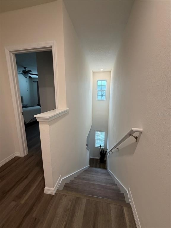 1241 Balsam Drive - Photo 19