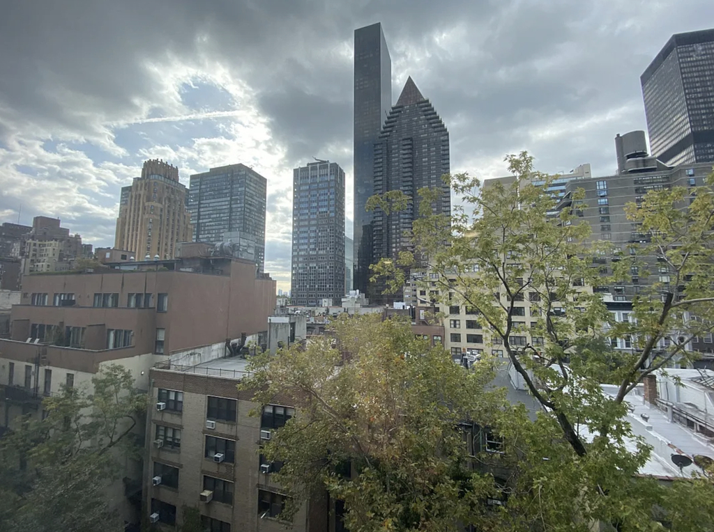 East 51st Street - Photo 5