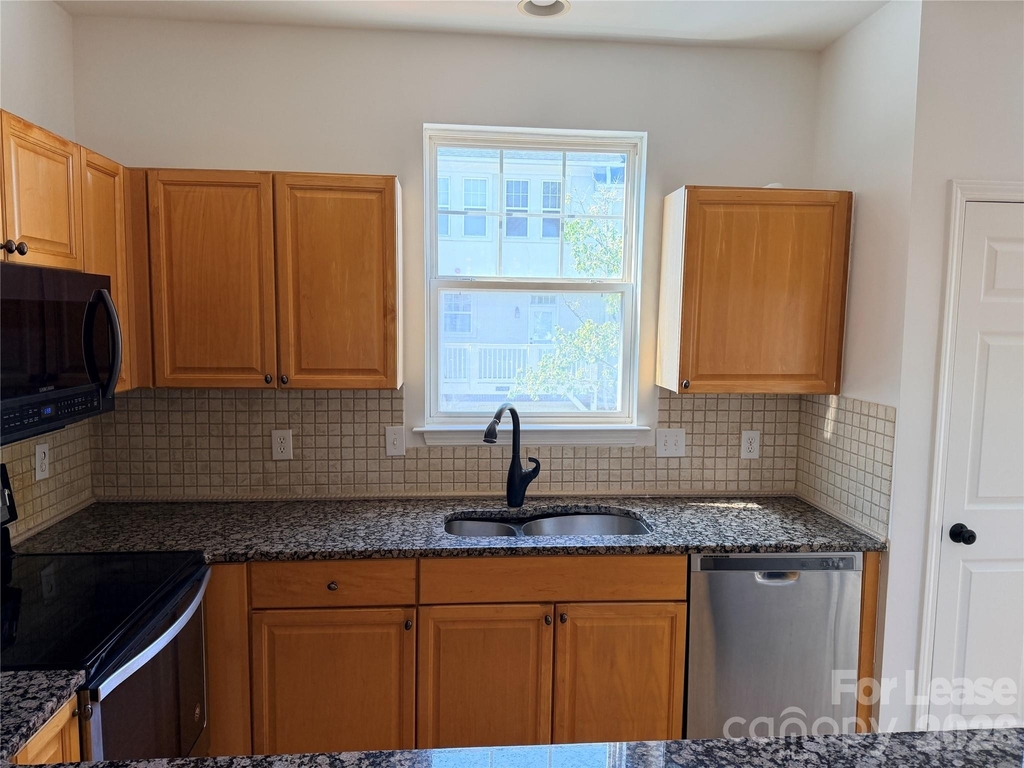 11017 Lancaster Park Drive - Photo 8