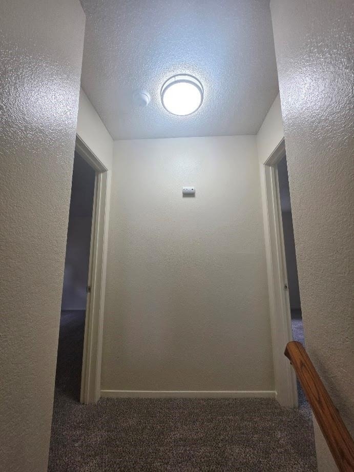 2404 Meadow Lane - Photo 8