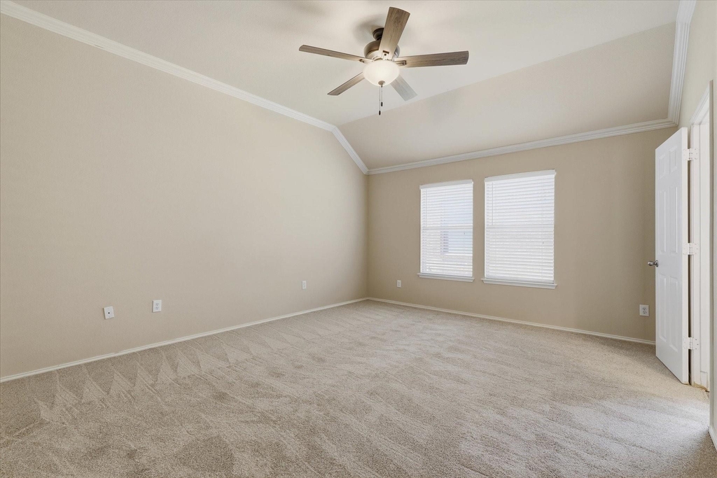 506 Hackberry Drive - Photo 19