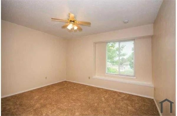 824 Foxwood Lane - Photo 11
