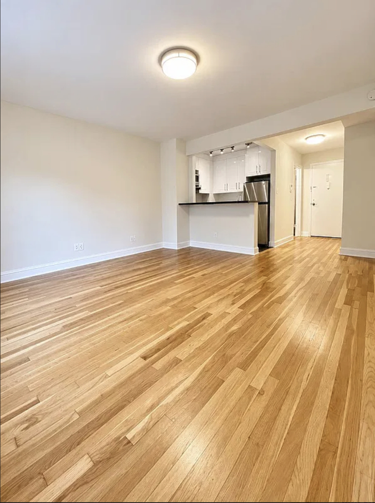 151 West 16th Street - Photo 2