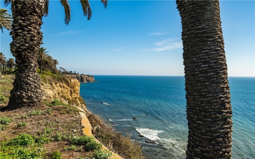 3663 Almeria Street - Photo 34