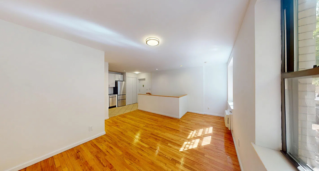 East 65th Street - Photo 4
