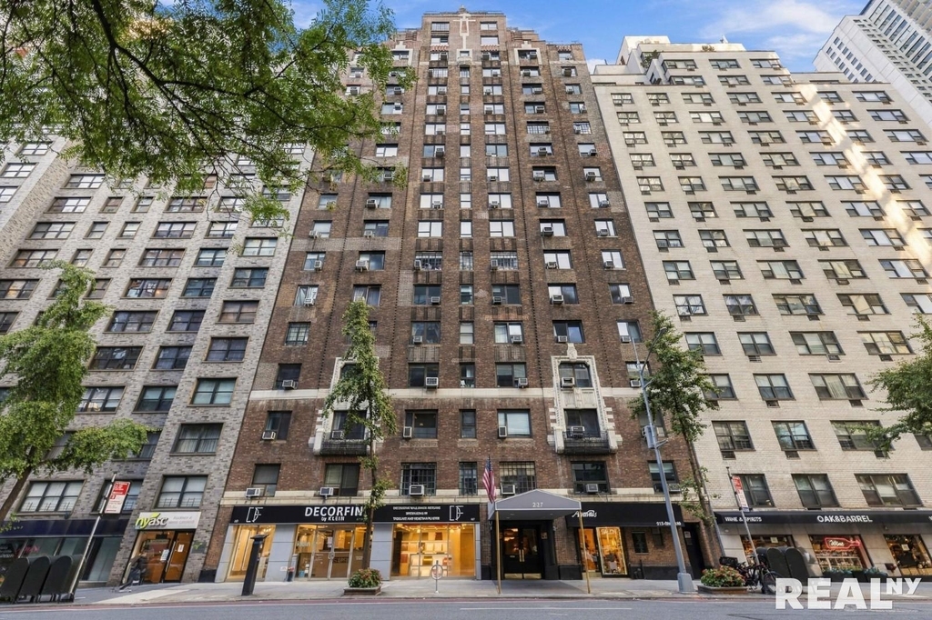 227 E 57th Street - Photo 5