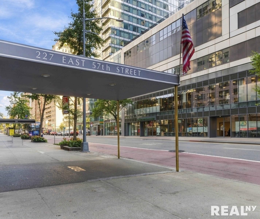 227 E 57th Street - Photo 4