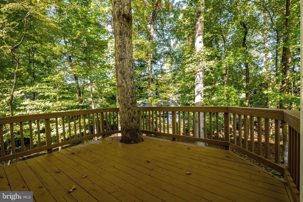 10898 Featherfield Court - Photo 15