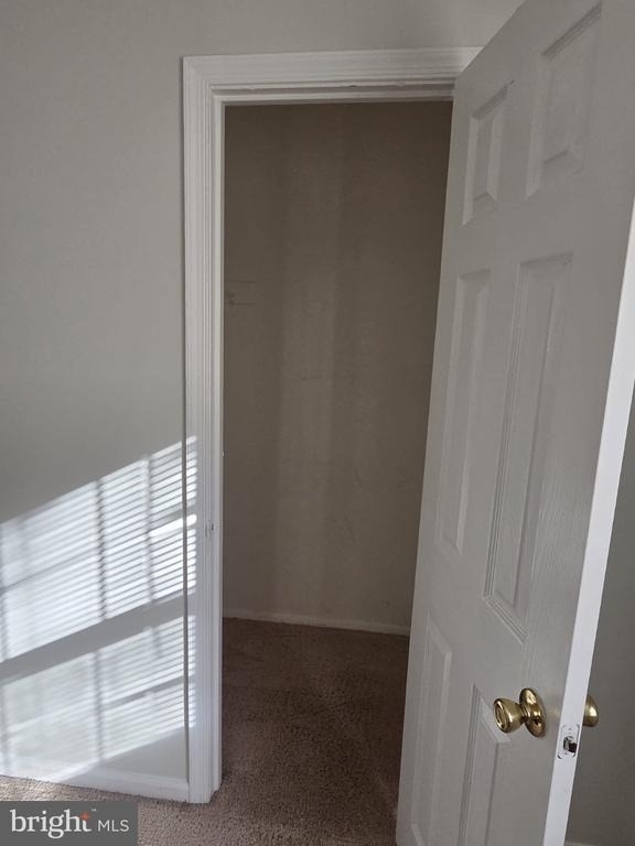 11126 Snug Haven Lane - Photo 12