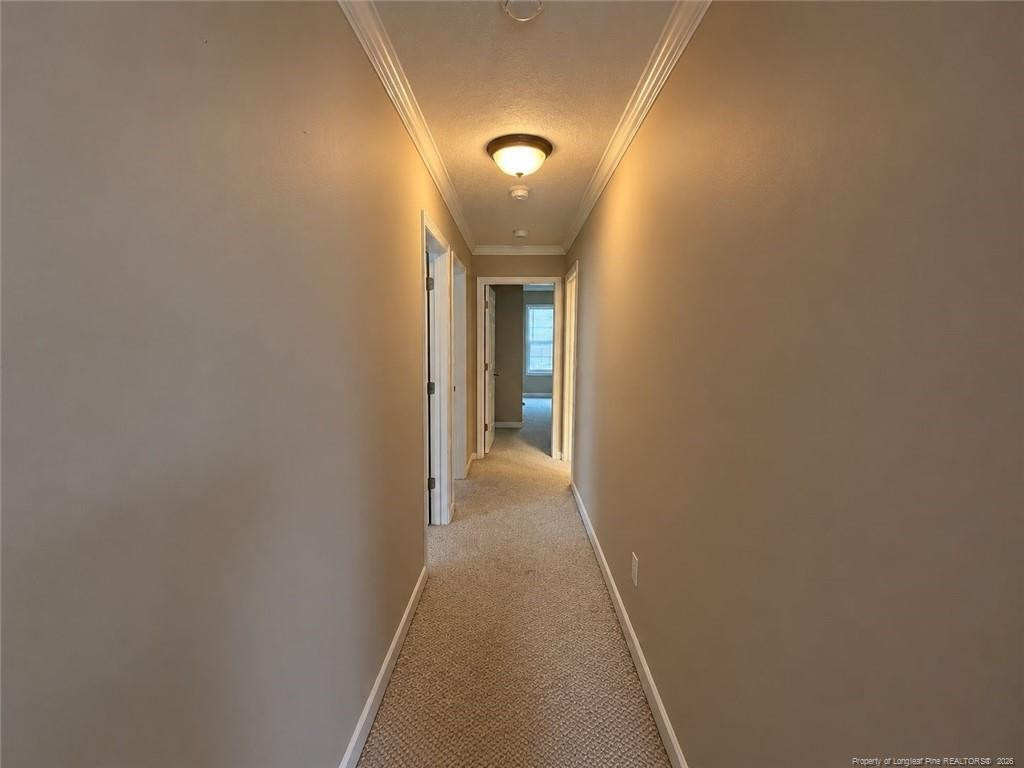7276 Beaver Run N - Photo 8