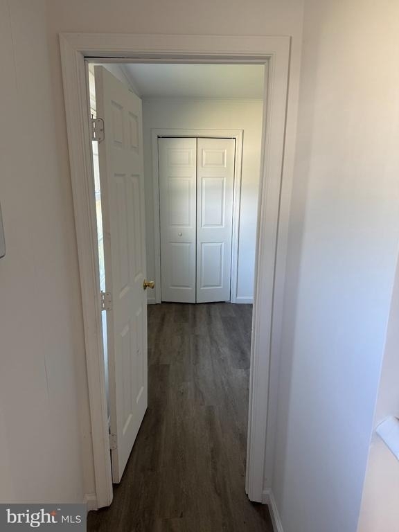 10315 Angora Drive - Photo 12