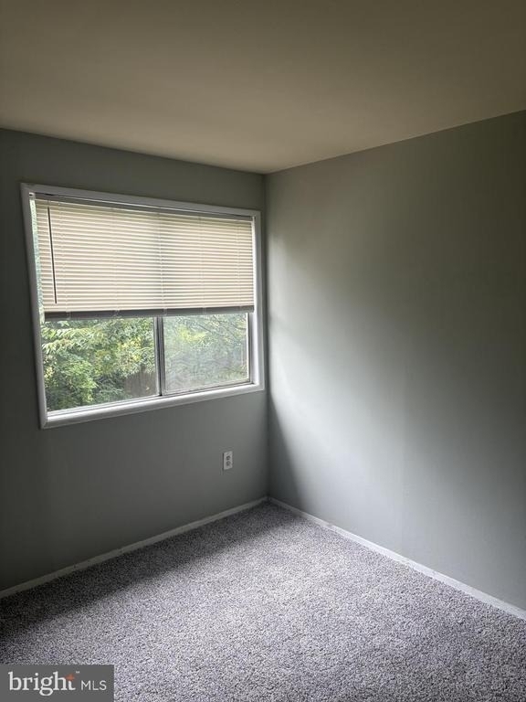 7328 Donnell Place - Photo 11