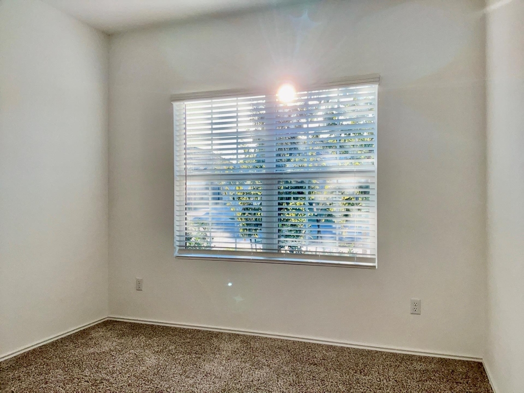 105 Blue Blaze Trl - Photo 18