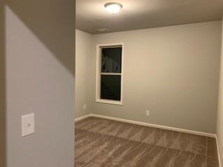 3326 Ivy Birch Way - Photo 20