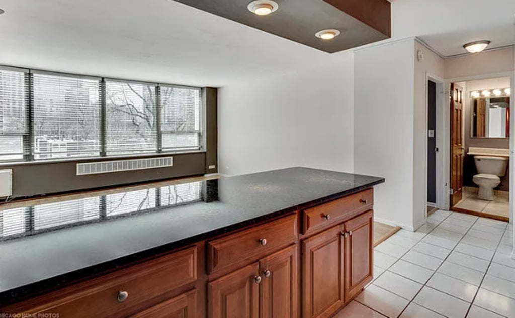 1360 N Sandburg Terrace - Photo 4